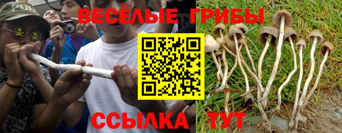 МДМА Алейск